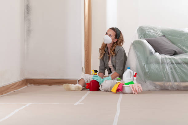 Reliable Mold Testing contractor in Manhasset, NY by WQB Mold Removal